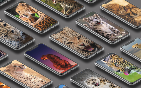 اسکرین شات 1 برنامه Leopard Wallpaper
