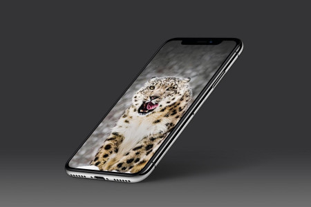اسکرین شات 6 برنامه Leopard Wallpaper