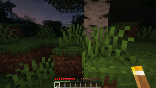 اسکرین شات 1 برنامه Raiyons Lights Mod Minecraft