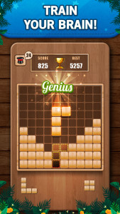 اسکرین شات 1 بازی Wooden 100 Block Puzzle Game