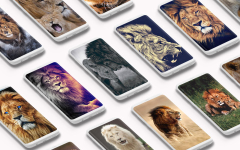اسکرین شات 1 برنامه Lion Wallpaper
