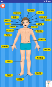 اسکرین شات 5 برنامه Learn About Body Parts