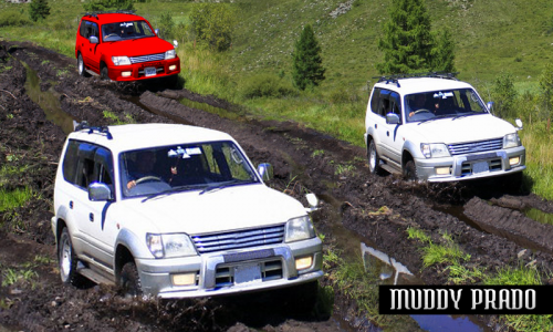 اسکرین شات 2 بازی Luxury Offroad Prado Driving