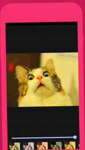 اسکرین شات 3 برنامه میم لودر - میم ساز سریع و رایگان meme