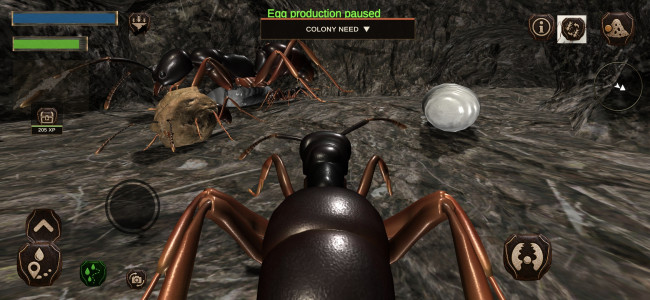 اسکرین شات 6 بازی Ant Simulation 3D