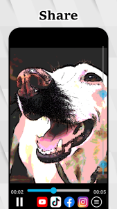 اسکرین شات 8 برنامه Video Effects & Filters V2Art