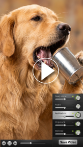 اسکرین شات 8 برنامه Voice Changer Video-Funny Cam