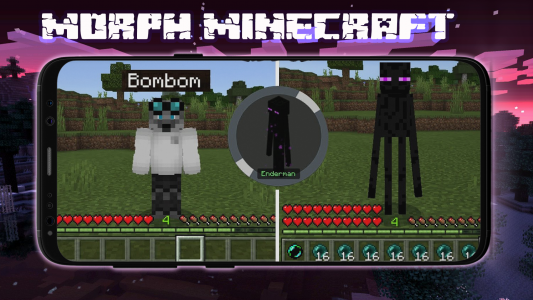 اسکرین شات 4 برنامه Morph Mod for Minecraft Skin