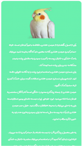 اسکرین شات 1 برنامه عروس هلندی یار