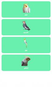 اسکرین شات 2 برنامه عروس هلندی یار