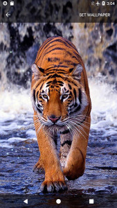 اسکرین شات 7 برنامه Animal Sounds Ringtones