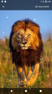اسکرین شات 8 برنامه Animal Sounds Ringtones
