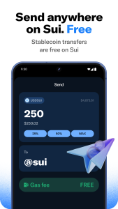 اسکرین شات 3 برنامه Slush — A Sui wallet