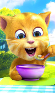 اسکرین شات 4 برنامه Talking Ginger 2