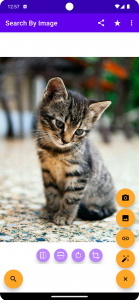 اسکرین شات 1 برنامه Search By Image