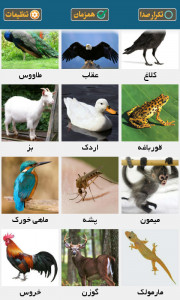 اسکرین شات 8 بازی صدای حیوانات ( آموزش کودکان )