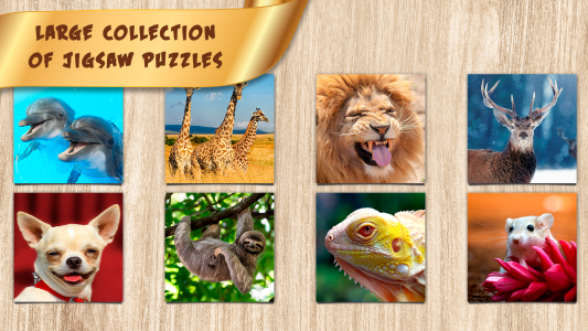 اسکرین شات 1 بازی Puzzles for Adults no internet