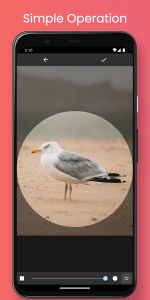 اسکرین شات 1 برنامه Circle Photo