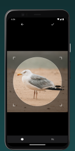 اسکرین شات 7 برنامه Crop Image