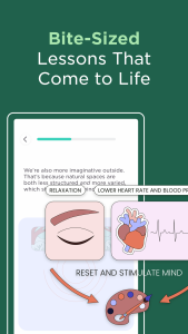 اسکرین شات 4 برنامه Imprint: Learn Visually
