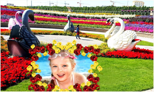 اسکرین شات 7 برنامه Beautiful Garden Photo Gallery