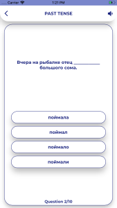 اسکرین شات 4 برنامه Russian GrammarーLessons・Tests