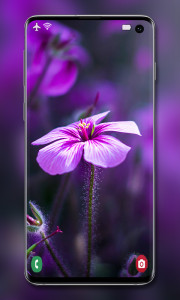 اسکرین شات 7 برنامه Purple Wallpaper