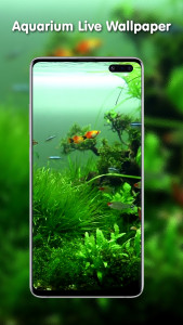 اسکرین شات 6 برنامه Transparent Live Wallpaper