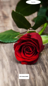 اسکرین شات 28 برنامه 5. قرمز تصاویر زمینه