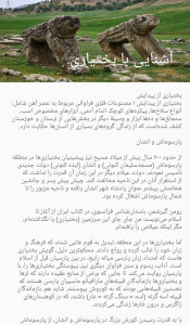 اسکرین شات 4 برنامه بختیاری