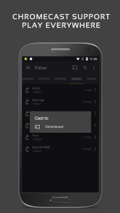 اسکرین شات 7 برنامه Pulsar Music Player
