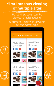 اسکرین شات 1 برنامه Multi View Browser