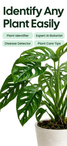 اسکرین شات 1 برنامه Plant App - Plant Identifier