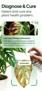 اسکرین شات 2 برنامه Plant App - Plant Identifier