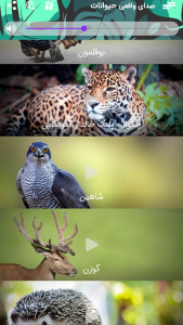 اسکرین شات 4 برنامه صدای واقعی حیوانات برای کودکان 2024