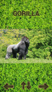 اسکرین شات 5 بازی ZOO sounds quiz