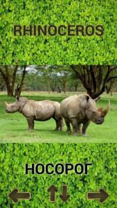 اسکرین شات 3 بازی ZOO sounds quiz