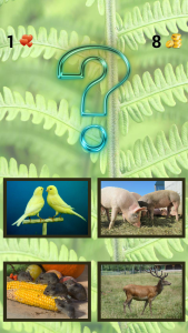 اسکرین شات 2 بازی ZOO sounds quiz