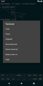 اسکرین شات 8 برنامه JuiceSSH - SSH Client