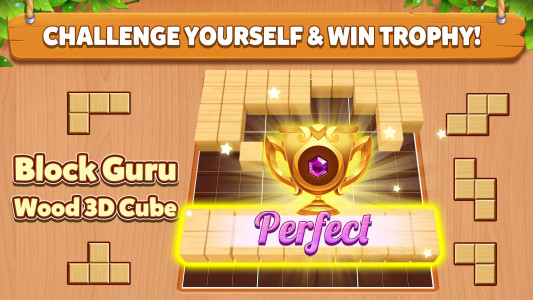 اسکرین شات 8 بازی Block Guru - Wood 3D Cube