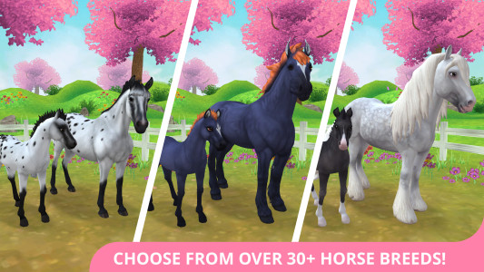 اسکرین شات 2 بازی Star Stable Horses