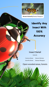 اسکرین شات 2 برنامه Insect Identifier App