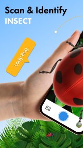 اسکرین شات 1 برنامه Insect Identifier App