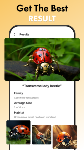اسکرین شات 3 برنامه Insect Identifier App
