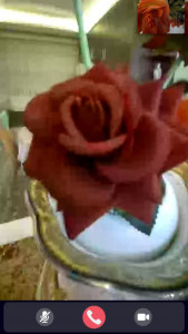 اسکرین شات 1 برنامه ‏‏تماس تصویری