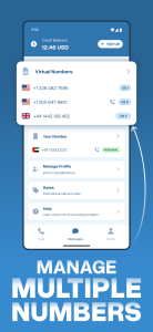 اسکرین شات 5 برنامه Virtual SIM