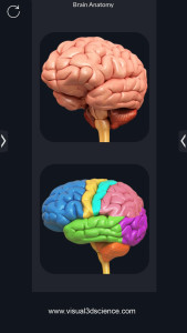 اسکرین شات 1 برنامه Brain Anatomy Pro.
