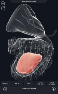 اسکرین شات 7 برنامه Dental Anatomy Pro.