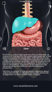 اسکرین شات 7 برنامه Human Anatomy