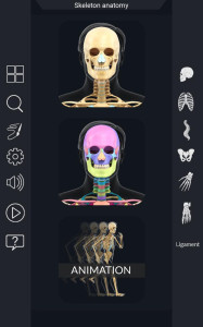 اسکرین شات 1 برنامه My Skeleton Anatomy